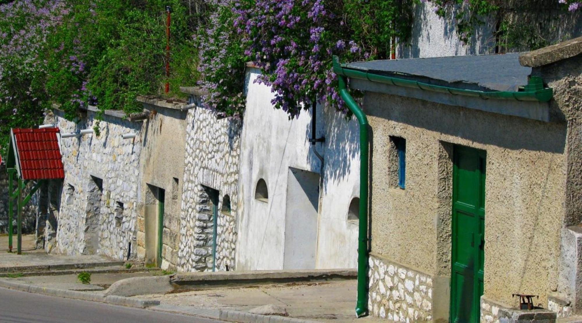 Bed and Breakfast Fenyo Panzio à Mezőkövesd Extérieur photo